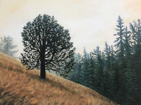 Lonely Tree