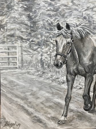 Tatumns Horse