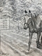 Tatumns Horse