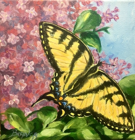 Spring Swallowtail
